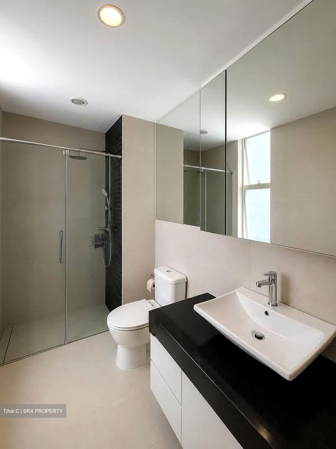 The Waterside (D15), Condominium #554875851